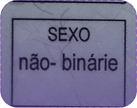 Não-binariedade constando em documentação